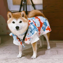 柴犬和式毛絨背心