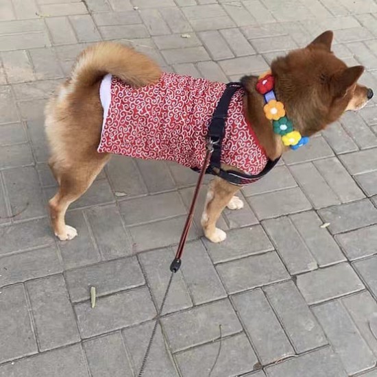 柴犬和式毛絨背心