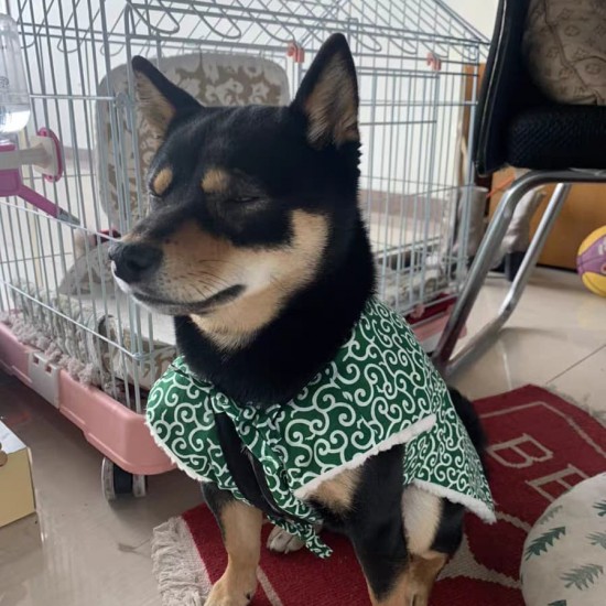 柴犬和式毛絨背心